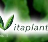 Dirvožemis, juodžemis, Vitaplant